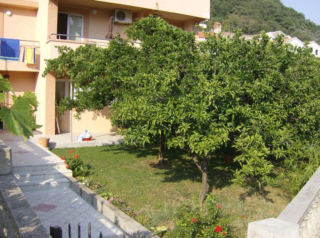 Guesthouse Lautasevic Petrovac Buitenkant foto