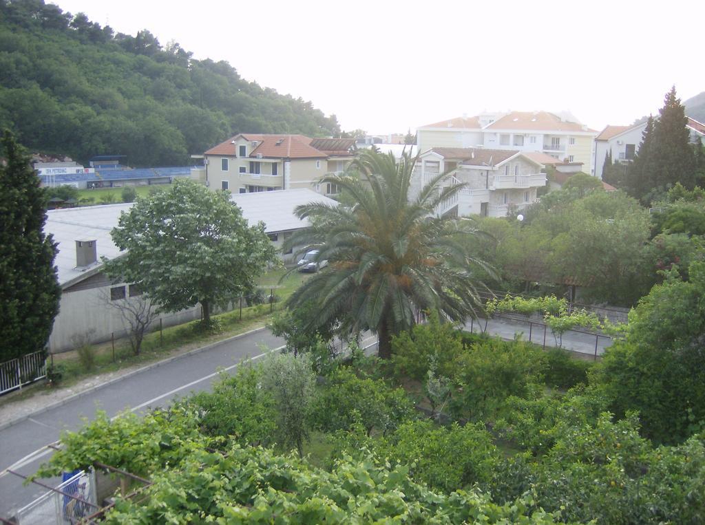 Guesthouse Lautasevic Petrovac Buitenkant foto
