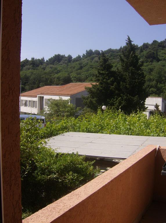 Guesthouse Lautasevic Petrovac Buitenkant foto